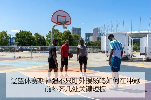 辽篮休赛期补强不只盯外援杨鸣如何在冲冠前补齐几处关键短板